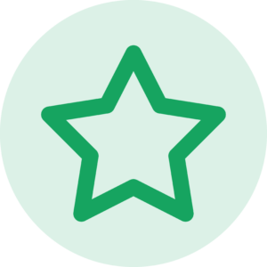 Icon Stern Qualifizierung