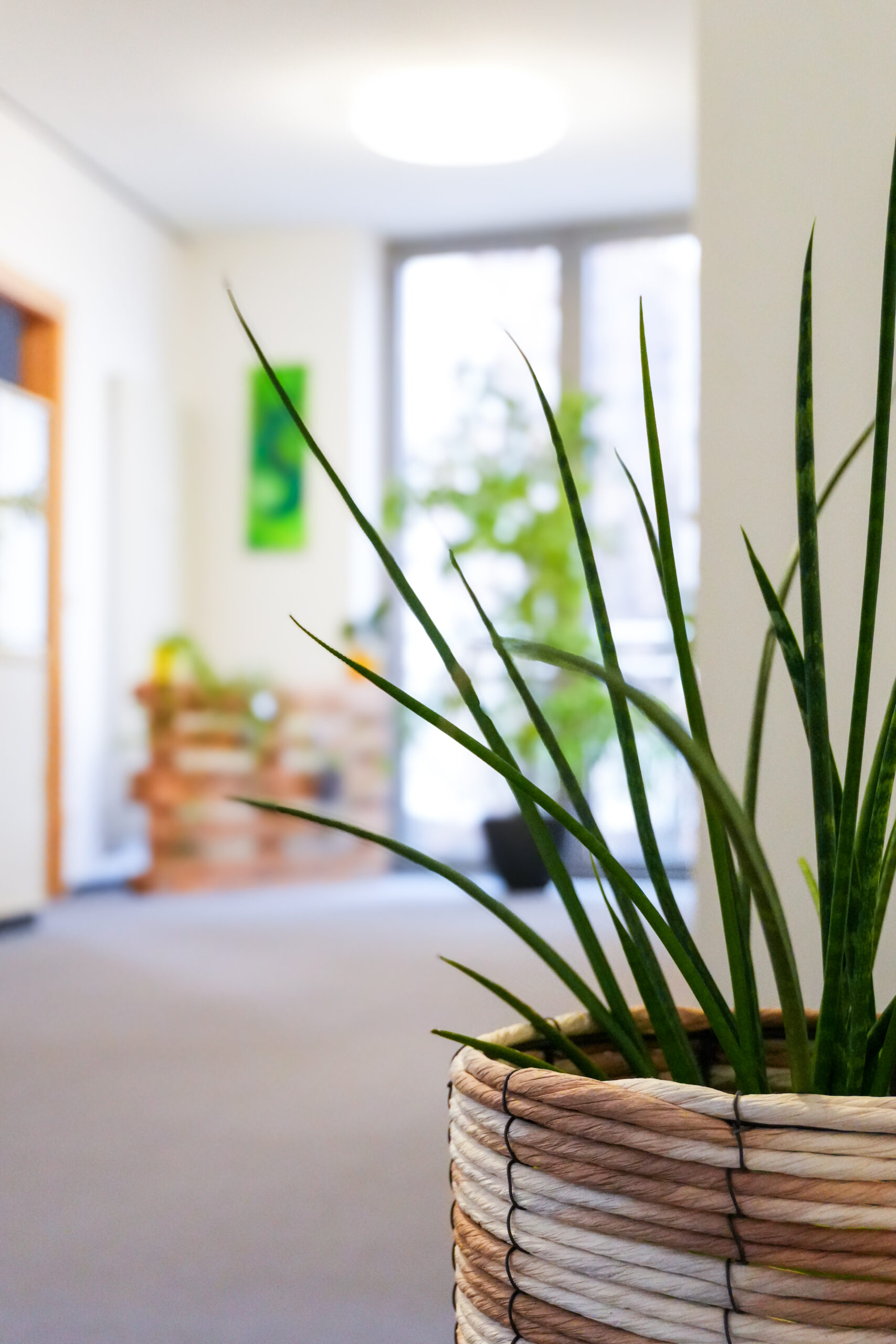 Büro mit Pflanze