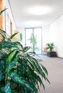 Büro Viechtach aipama
